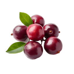 Kokum