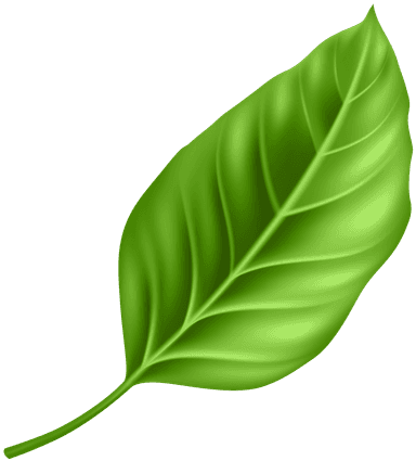 Decorative Leaf